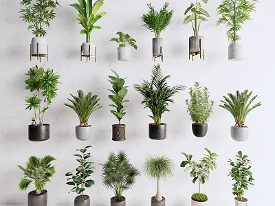 Decorative Bonsai and Potted Plants With Various Leaf Shapes and Ceramic Metal Pots 3d model