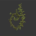 Artistic Spiral Shaped Plant Sculpture With Twisted Branches Thorns And Leaves