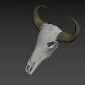 Game Movie Character Bull Skull With Large Horns White Bone And Gray Gradient Background