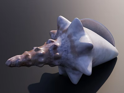 Natural Conch Shell as Decorative Ornament for Fish Tank Aquarium 3d model