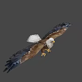 Low Poly Eagle Standing With Spread Wings And Brown White Feathers