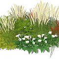 Colorful Garden Flowers And Grasses With White Calla Lilies Green Ferns And Red Plants