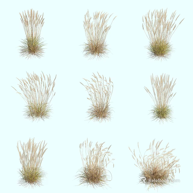 Various Herbaceous Plants in Different Forms Neatly Arranged on Light Blue Background 3d model 