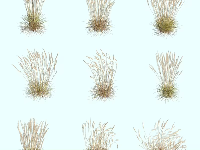 Various Herbaceous Plants in Different Forms Neatly Arranged on Light Blue Background 3d model
