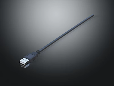 Black USB Cable With Standard USB Connector For Data Transfer And Charging 3d model