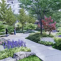 Night Garden Landscape With Paved Pathway Green Plants Red Maple Tree Trimmed Hedges And Lighting