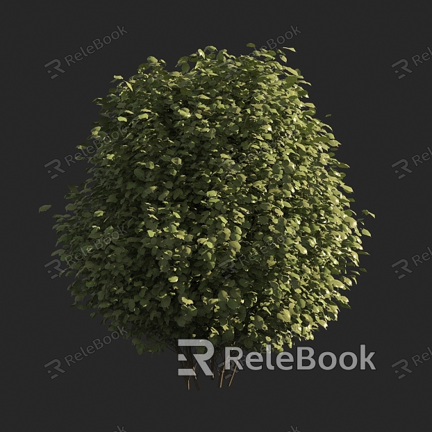 spherical shrub model