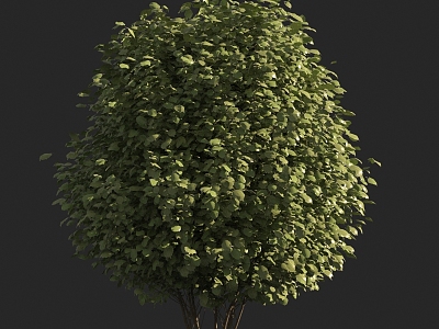 spherical shrub model