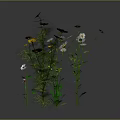 Diverse Garden Plants With White Yellow Flowers And Green Stems Leaves
