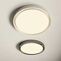 Two Modern Circular Ceiling Lights With Metal Frame And Soft White Glow 3d model