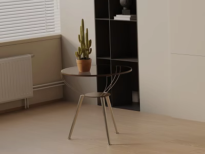 Modern Bedside Table With Glass Top And Metal Legs Near Bookshelf And Cactus 3d model
