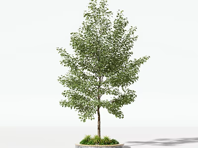 Lush Green Arbor With Dense Foliage And Brown Trunk In Potted Planter 3d model