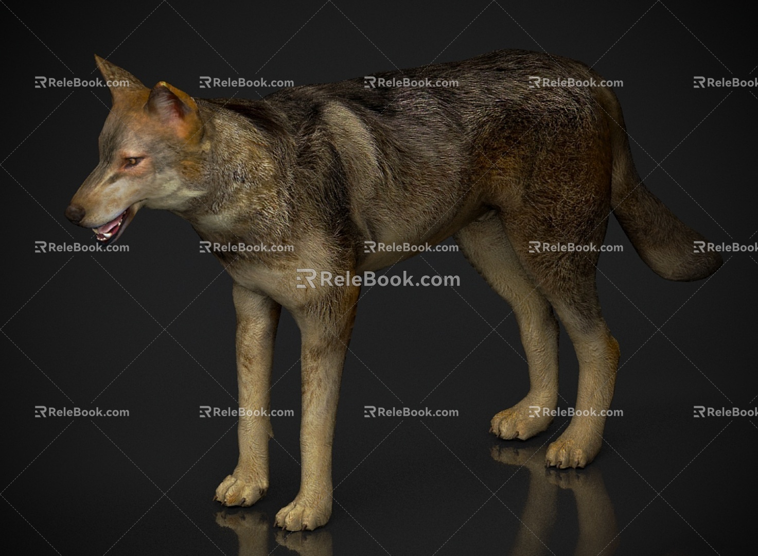 Zoo Wild Animals Beast Pet Wolf Dog 3d model