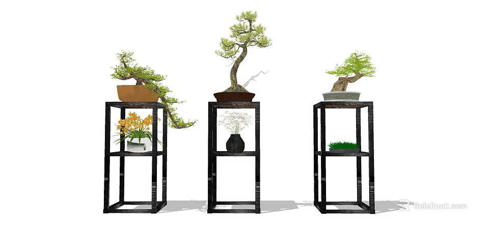 Stylish Bonsai Potted Plants Arranged on Black Display Stands with Small Greenery 3d model 