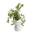 White Double Layered Vase With Fresh Green Leaves And Small Flowers