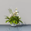 White Flowers in Transparent Vase with Green Leaves on Gray Countertop and Light Gray Wall