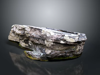 Natural Wood Stone Decorative Piece With Rough Natural Texture And Gray White Color Patterns 3d model