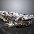 Natural Wood Stone Decorative Piece With Rough Natural Texture And Gray White Color Patterns