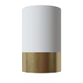 Black Gold Downlight Spotlight Modern Design With Metal Finish And Bright LED Ceiling Lighting