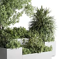 Various Green Plants Growing In Gray Planters With Different Heights Trees And Shrubs