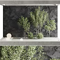 Modern Garden Ornament Arrangement With Lush Green Trees Shrubs Dark Textured Wall And Concrete Platform