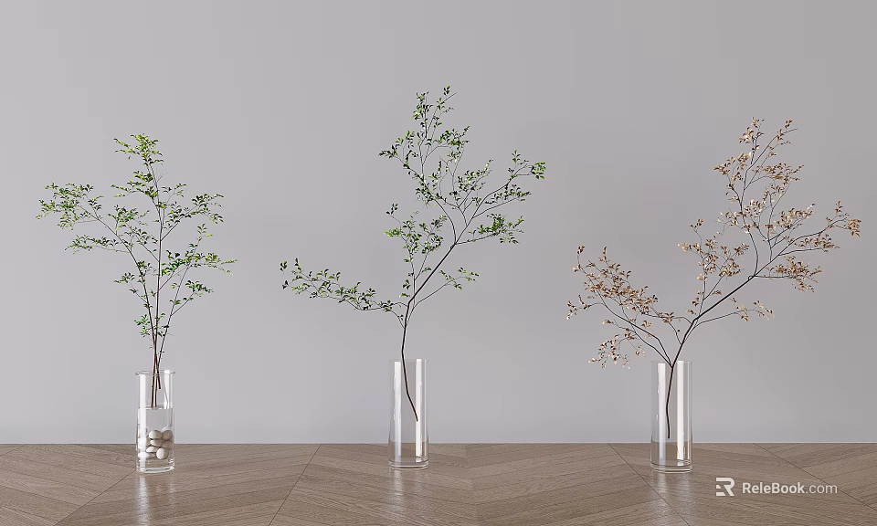Aquatic Plants in Transparent Vases on Wooden Floor with Light Wall Background 3d model 
