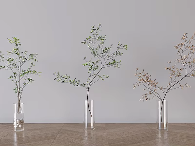 Aquatic Plants in Transparent Vases on Wooden Floor with Light Wall Background 3d model