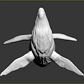 Detailed White Whale Model Displayed On Dark Background With Reflection