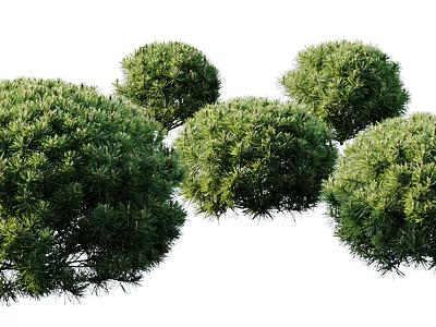 Vibrant Green Round Shrubs With Lush Dense Foliage In Natural Landscape 3d model