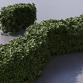 Lush Well Trimmed Green Shrubs For Garden Landscape Design And Decoration