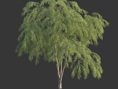 Lush Green Arbor With Weeping Branches And Vibrant Foliage In Natural Landscape 3d model