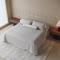 Double Bed with White Sheet and Pillows Beside Bedside Tables with Table Lamp on Rug