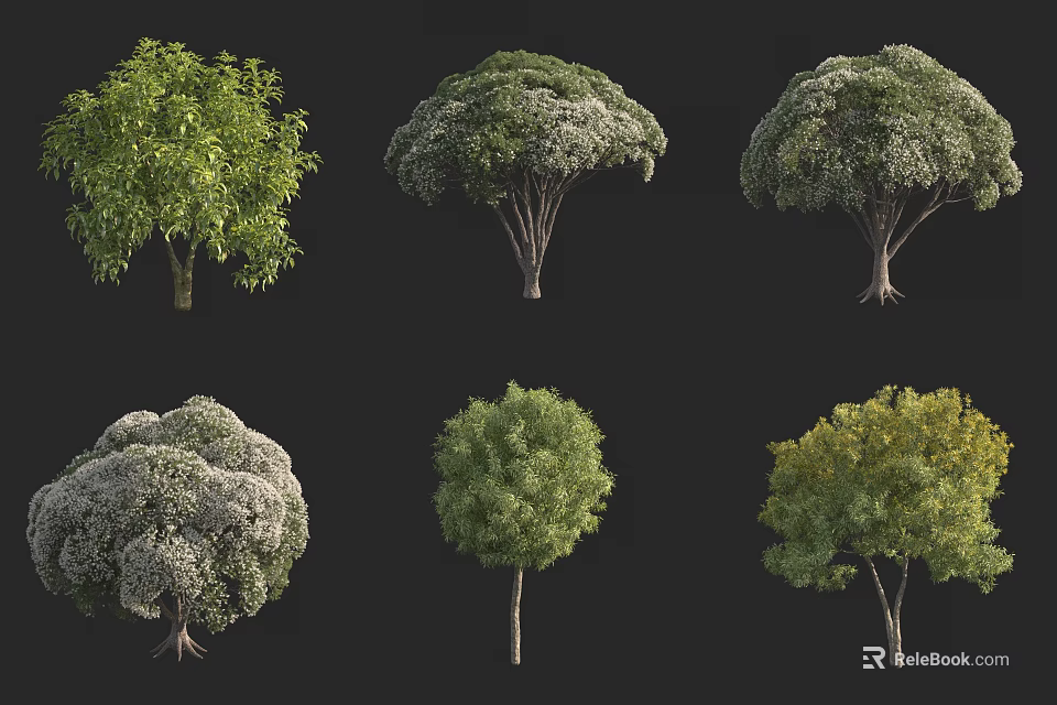 Various Arbor Trees With Different Crown Shapes And Green Foliage 3d model 