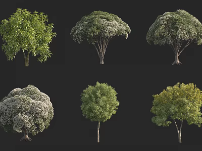 Various Arbor Trees With Different Crown Shapes And Green Foliage 3d model