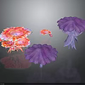 Colorful Pink and Purple Umbrella Shaped Plants with Feather Like Petals Against Black Background