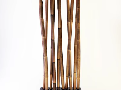 Natural Bamboo Stems with Brown and Yellow Tones Arranged on Black Base Against White Background 3d model