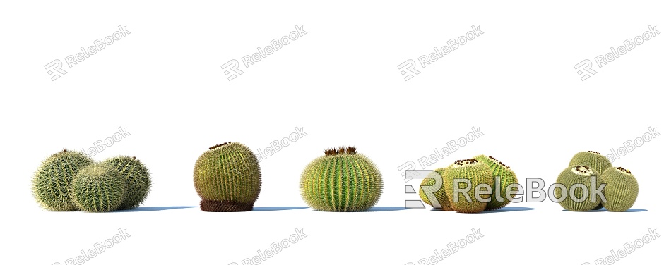 Modern Cactus Shrub Tropical Plant Green Plant Desert model