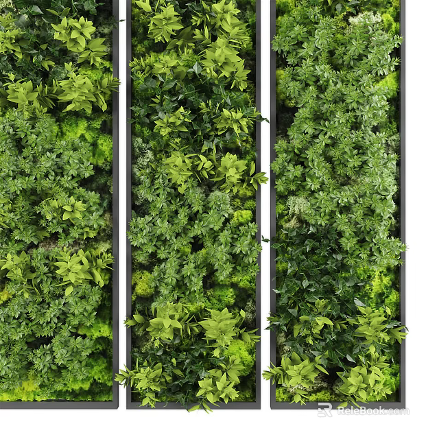 Green Plant Wall Vertical Garden Design With Lush Various Foliage Plants And Paneled Sections 3d model 