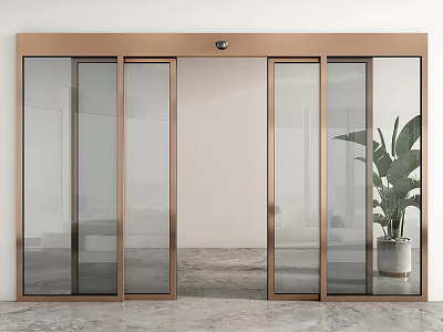 Automatic Sliding Glass Door With Metal Frame And Plant Decor 3d model