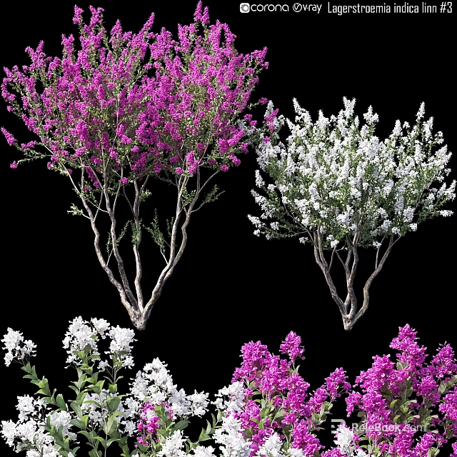 Decorative Ornament Set Featuring Pink and White Flower Branches as Home Decor Accents 3d model 