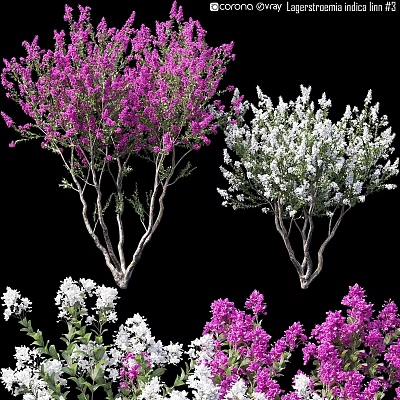 Decorative Ornament Set Featuring Pink and White Flower Branches as Home Decor Accents 3d model