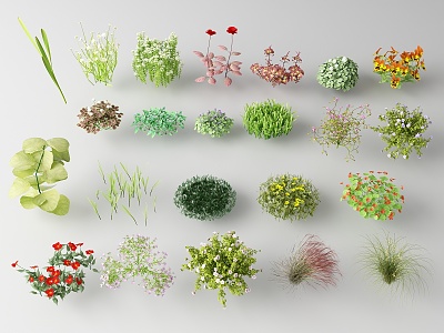 Modern flowers and plants model