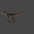 Realistic Dinosaur Game Movie Character 3D Model With Striped Skin And Standing Posture