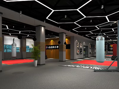 Martial Arts Fitness Center Shower Sauna Design With Punching Bags And Red Mats 3d model