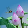 modern lotus 3d model