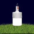 Bright White LED Bulb Hanging Over Green Grass Illuminated At Night