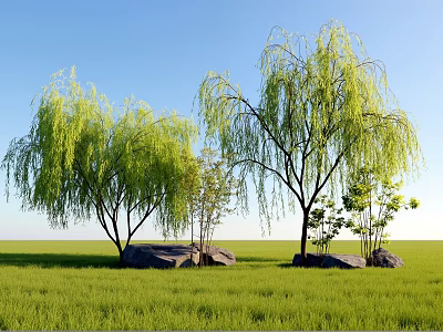 Plant Combination With Weeping Willows Stones Green Grass And Blue Sky 3d model