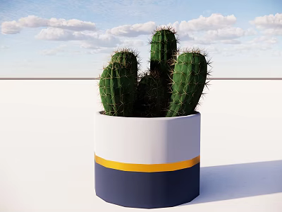 Cactus Bonsai Plant in White Yellow Navy Blue Striped Pot Against Blue Sky White Clouds 3d model