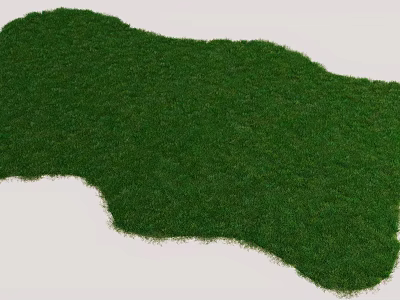 Lush Green Natural Grass Lawn With Soft Texture For Outdoor Landscaping 3d model