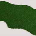 Lush Green Natural Grass Lawn With Soft Texture For Outdoor Landscaping